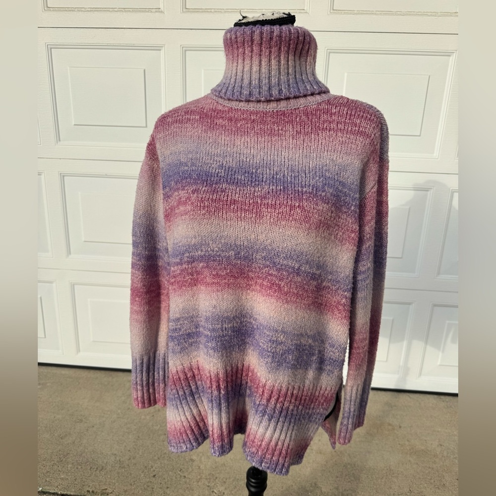 Women's Multicolor Turtleneck Sweater